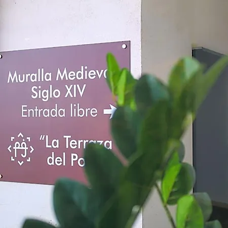 Reina Cristina Teruel