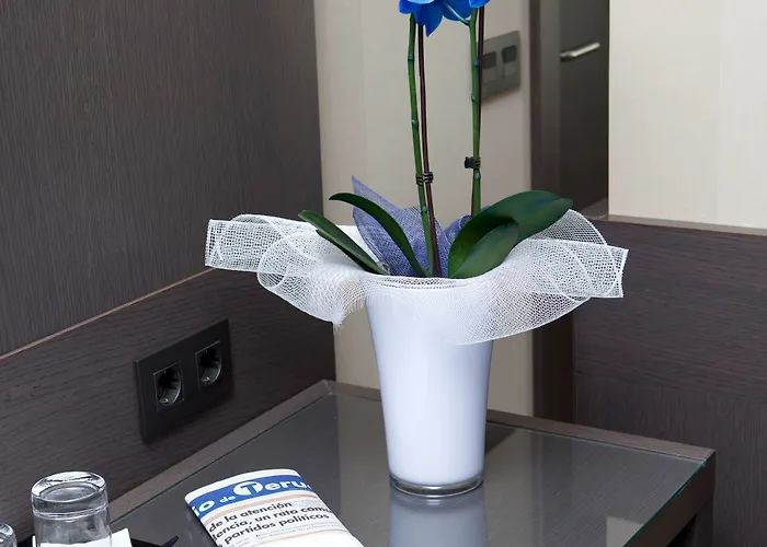 Reina Cristina ホテル 4*